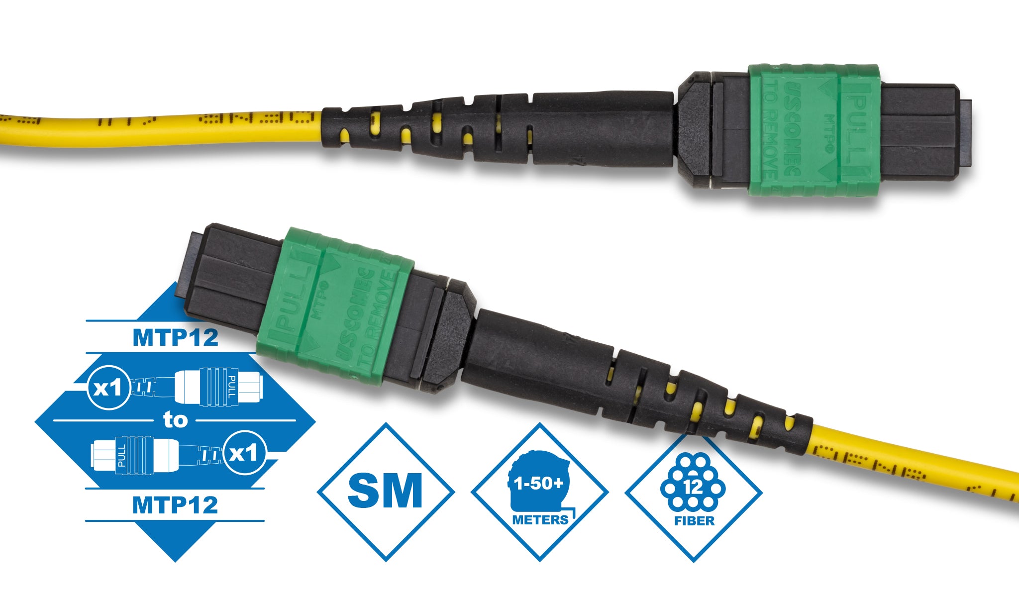 12 Fiber MTP to MTP OS2 9/125µm Single-mode Fiber