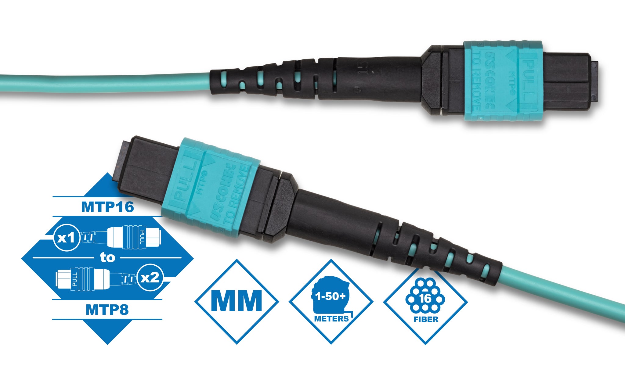 16 Fiber MTP to 2 x MTP-8 OM4 50/125µm Multimode Breakout Cable