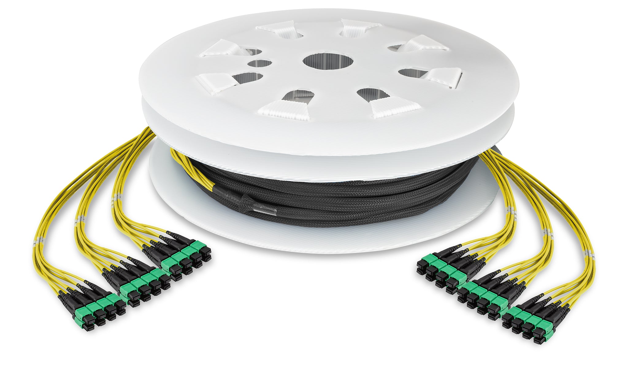24 Cable MTP-12 to MTP-12 OS2 9/125µm Single-mode GPU Fiber Cluster Bundle (Nvidia GB200)